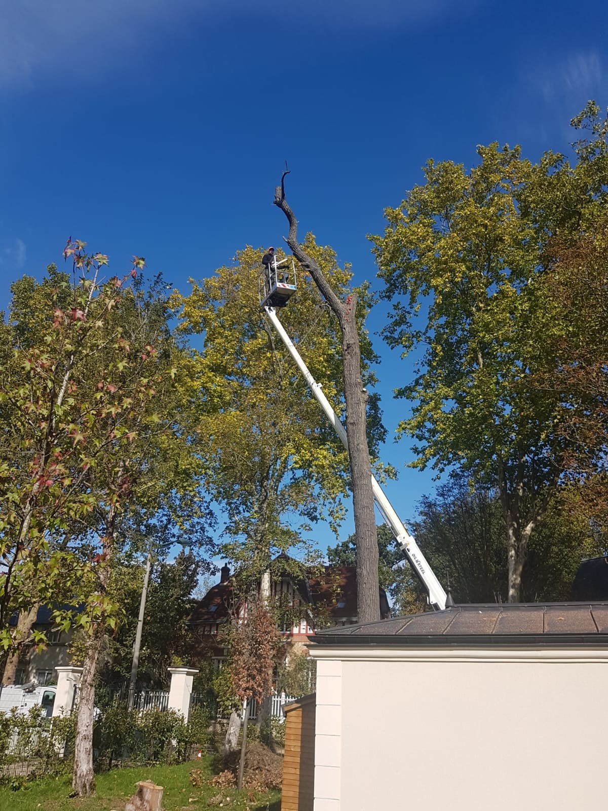 Avant abattage par démontage avec Nacelle