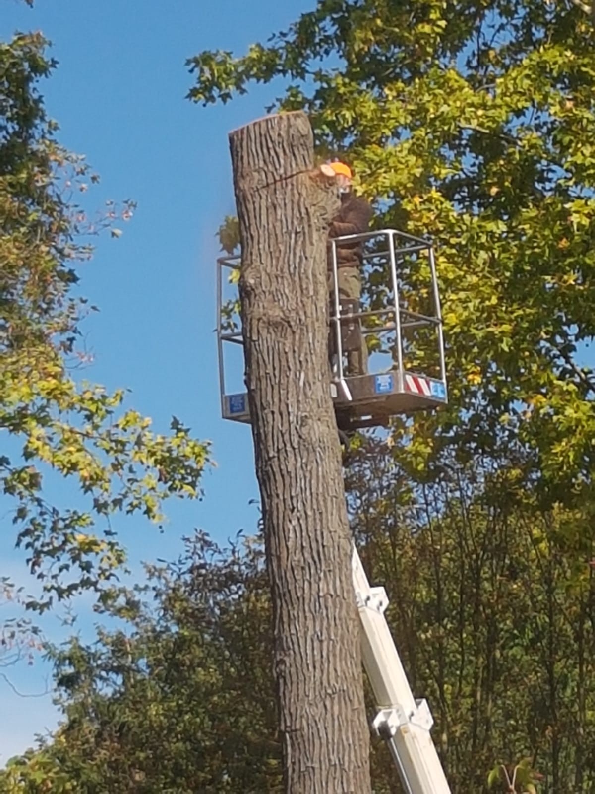 Abattage par démontage avec Nacelle