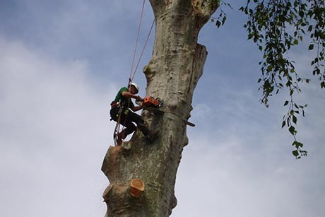 Abattage par démontage d’un monstre