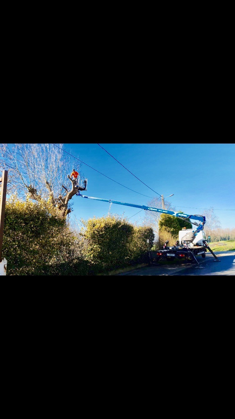 Élagage et mise en sécurité des lignes électriques